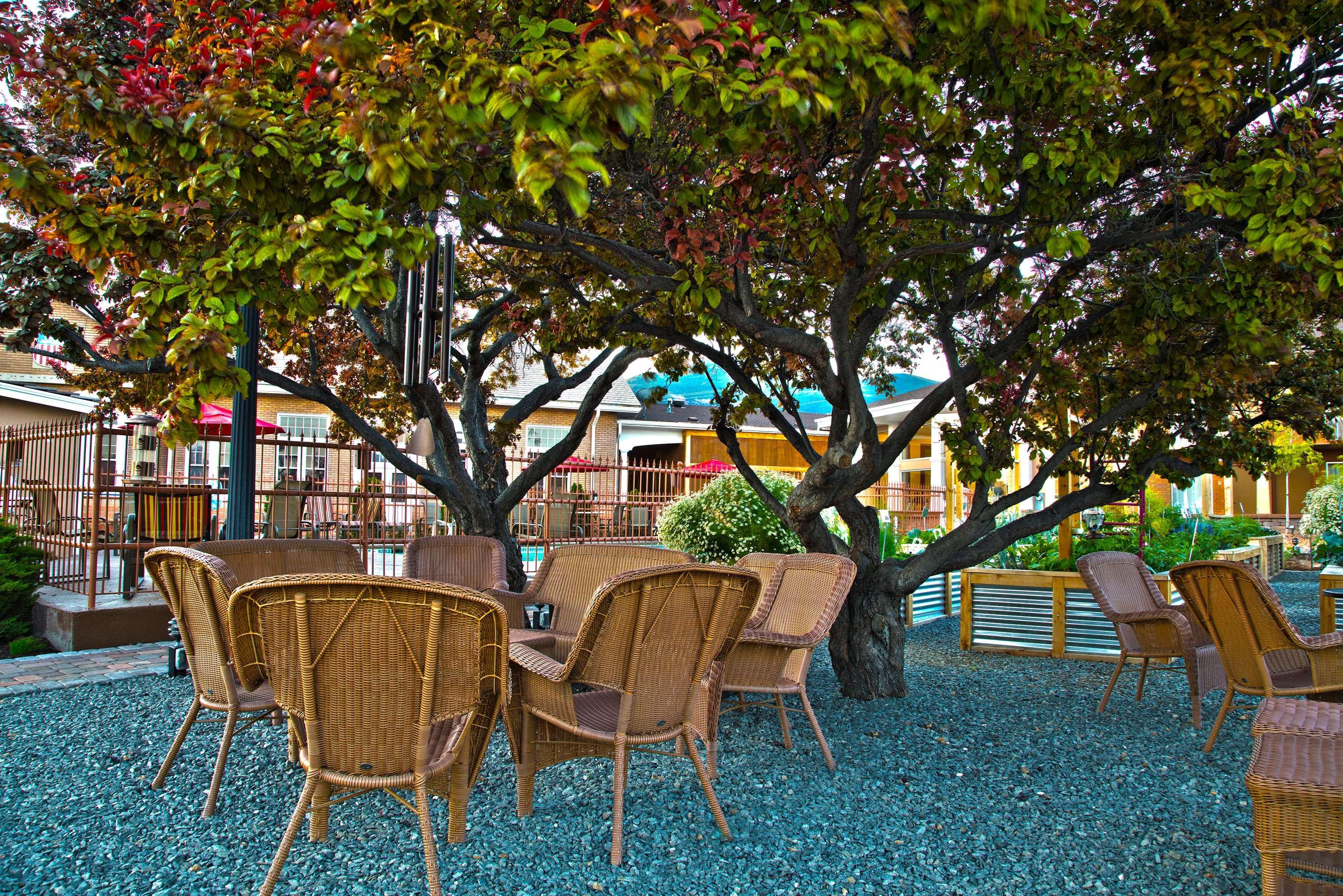 Best Western Plus Cedar City Dış mekan fotoğraf